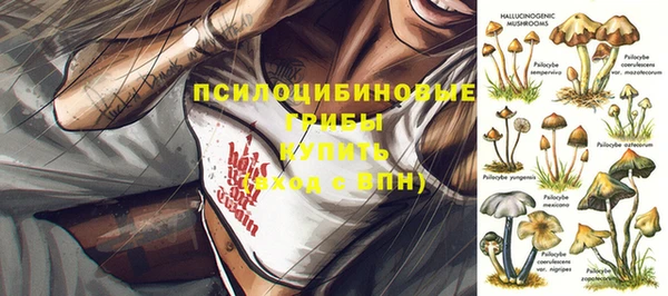 круглые Лагань
