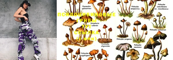 PSILOCYBIN Лабытнанги