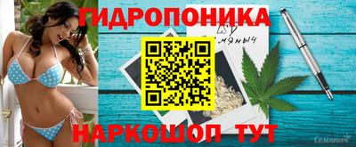 крисы Изобильный