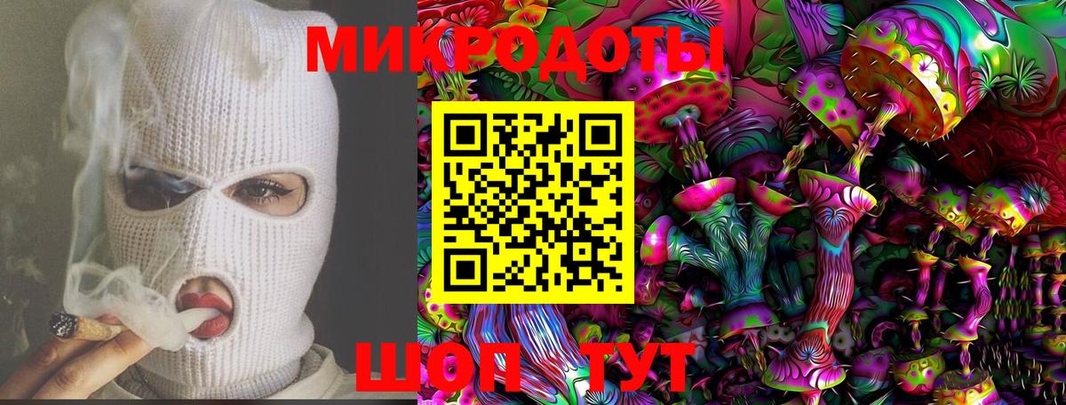 Псилоцибиновые грибы Psilocybe Славгород
